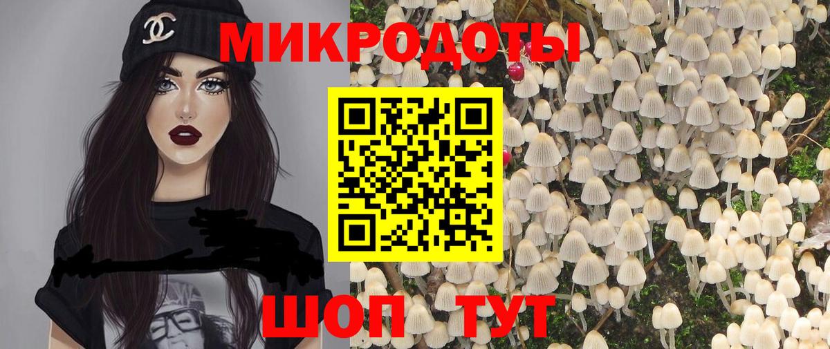 Волхов  Псилоцибиновые грибы GOLDEN TEACHER  Вход с VPN 