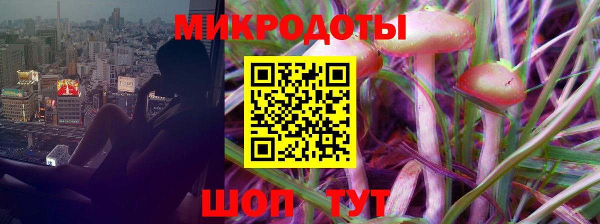 Галлюциногенные грибы мухоморы Волхов